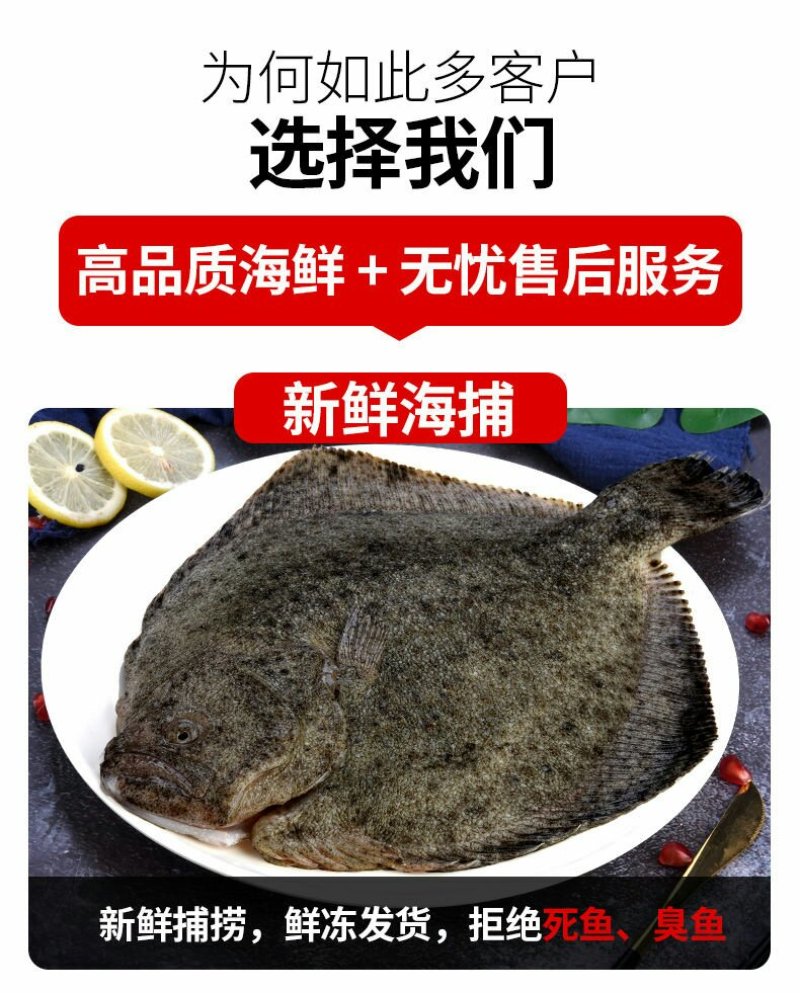 新鲜多宝鱼大菱鲆比目鱼浅海养殖急冻发货