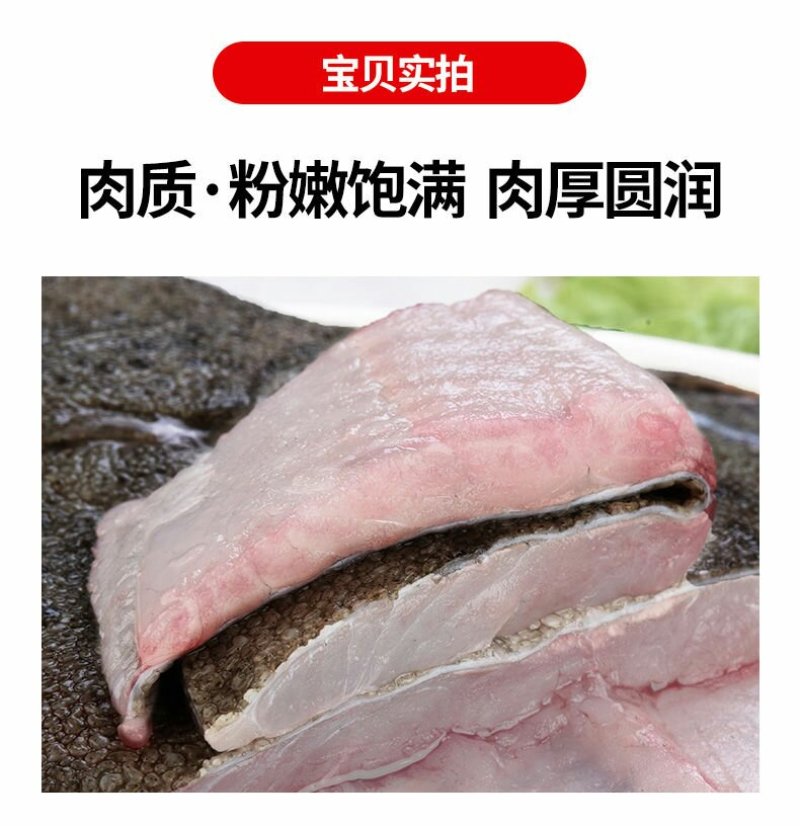 新鲜多宝鱼大菱鲆比目鱼浅海养殖急冻发货