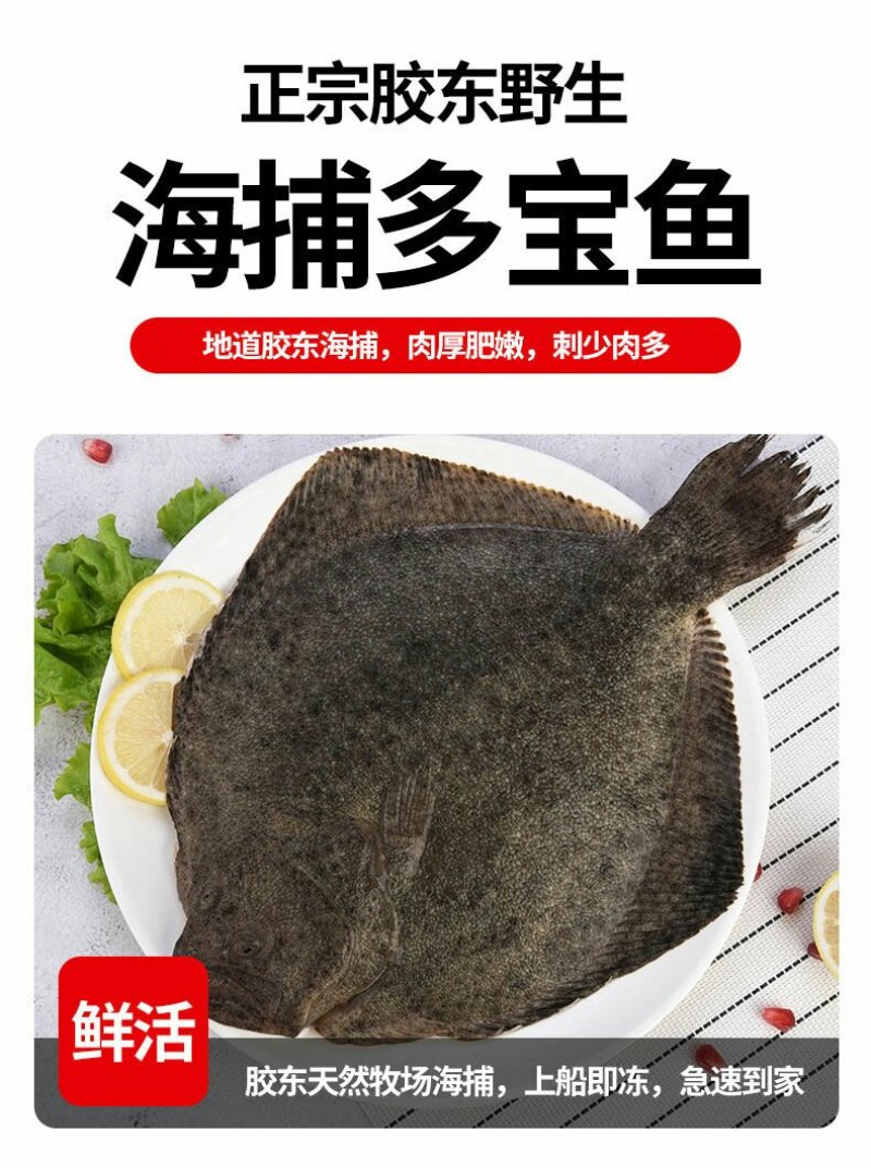 新鲜多宝鱼大菱鲆比目鱼浅海养殖急冻发货