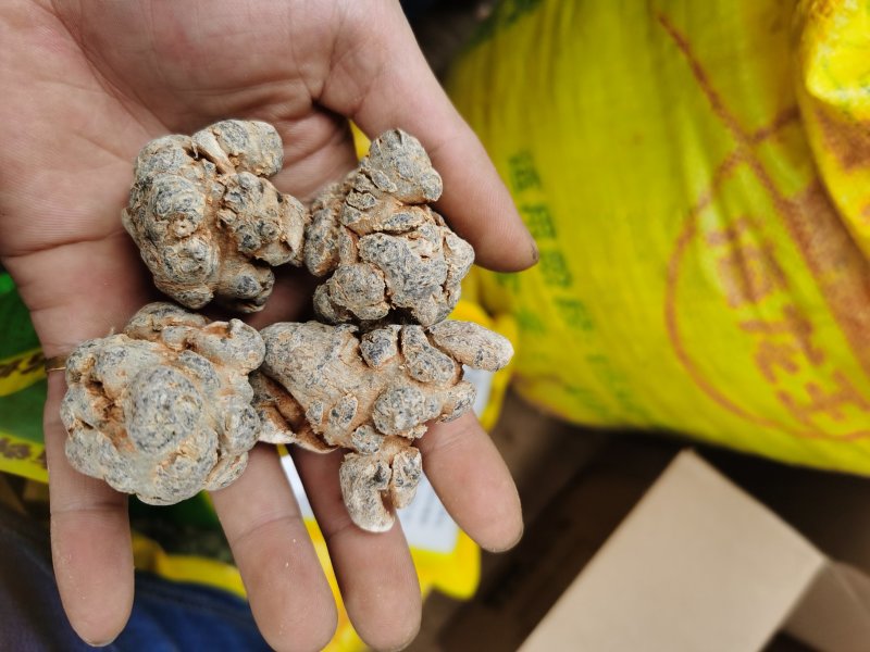 云南文山三七20头滑头足干老货文山田七三七粉足20头