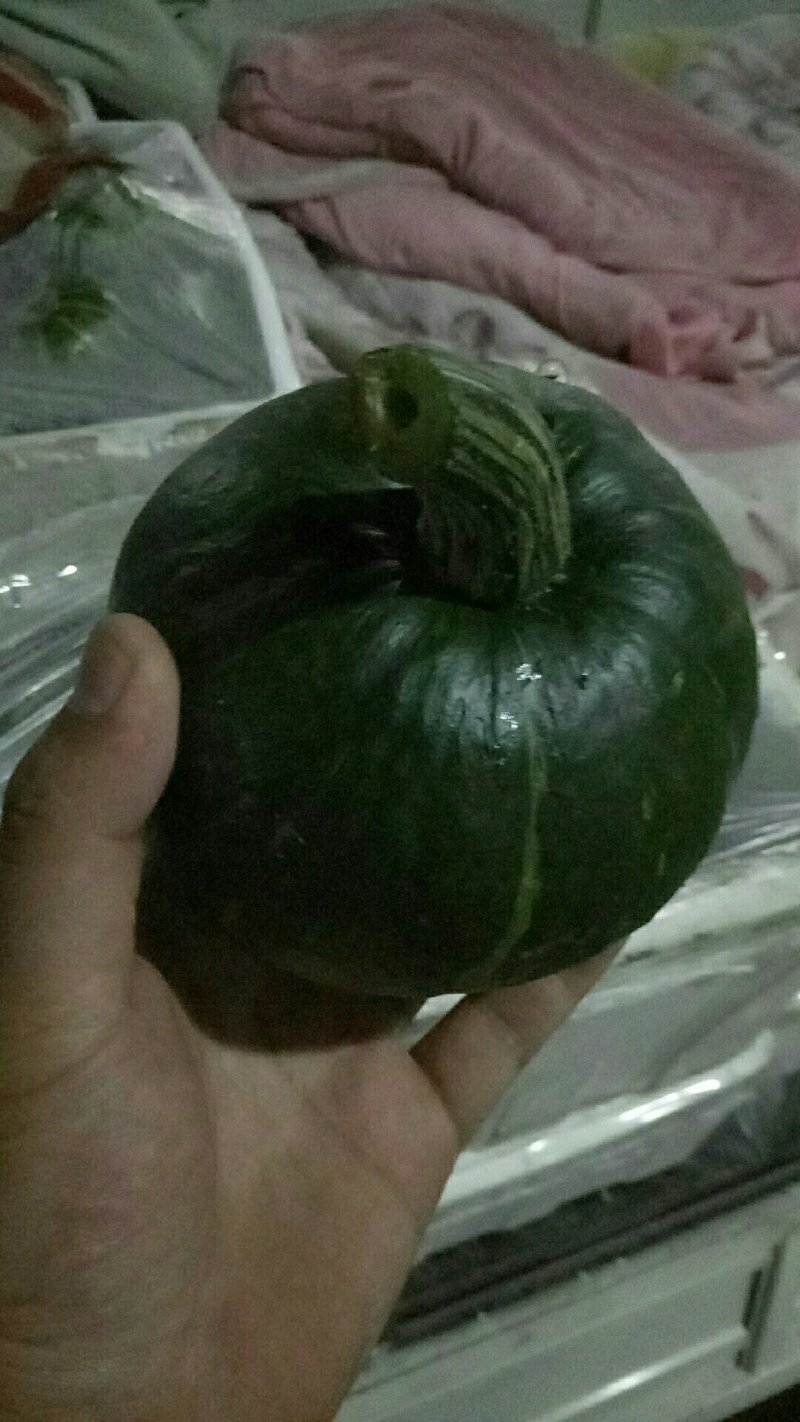 惠和南瓜，嫩贝贝南瓜，3号南瓜，特优级南瓜