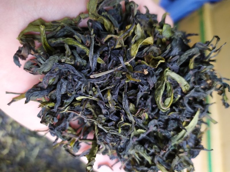 八仙茶高山土山茶诏安八仙茶1斤潮汕惠来高山茶大坪土山茶