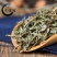 萹蓄，产地直供道地药材，药典标准支持线上交易保障