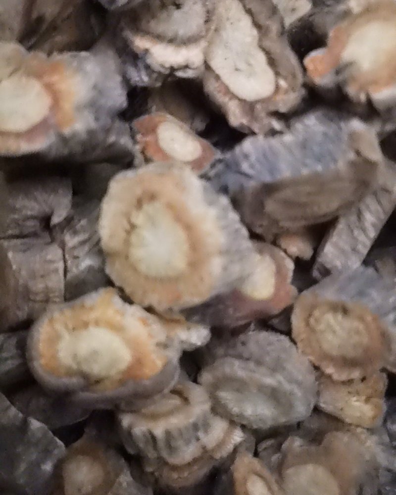 防风选装大量批发零售可视频看货