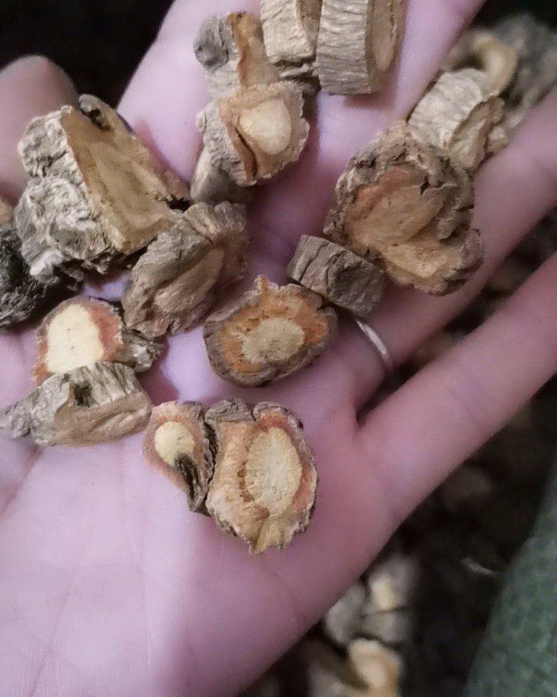 防风选装大量批发零售可视频看货