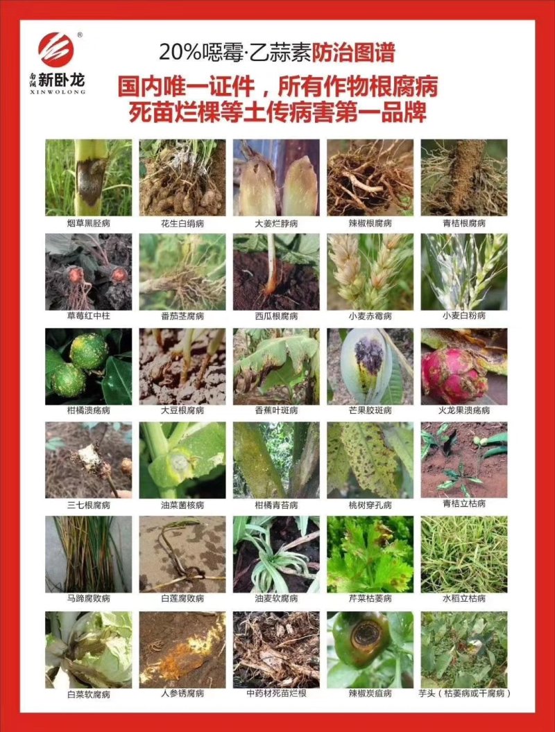 20%噁霉灵乙蒜素辣椒炭疽病规格22克500克1000
