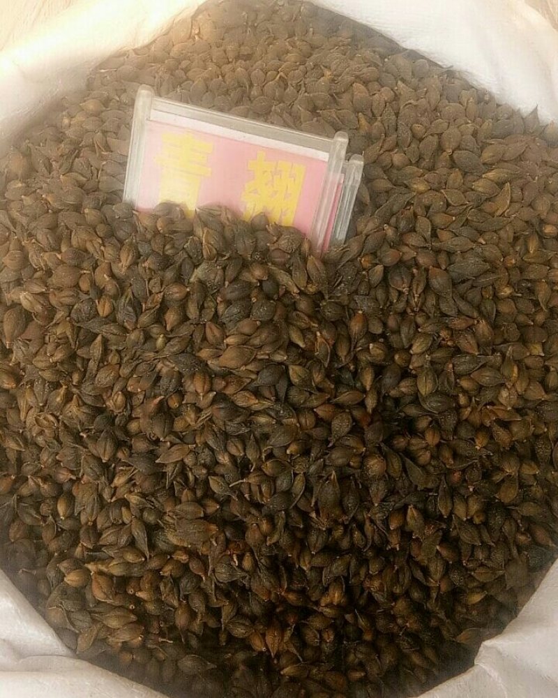 沉香，降香，大黄，丹参，太子参，骨碎补，青翘，芡实中药材