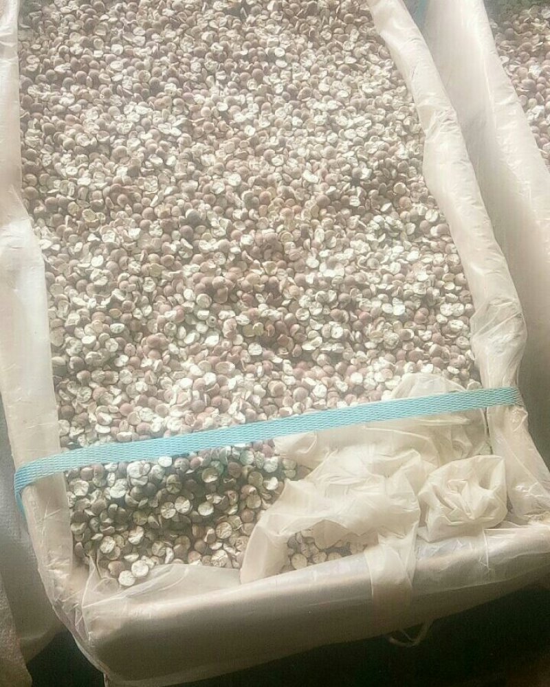 沉香，降香，大黄，丹参，太子参，骨碎补，青翘，芡实中药材