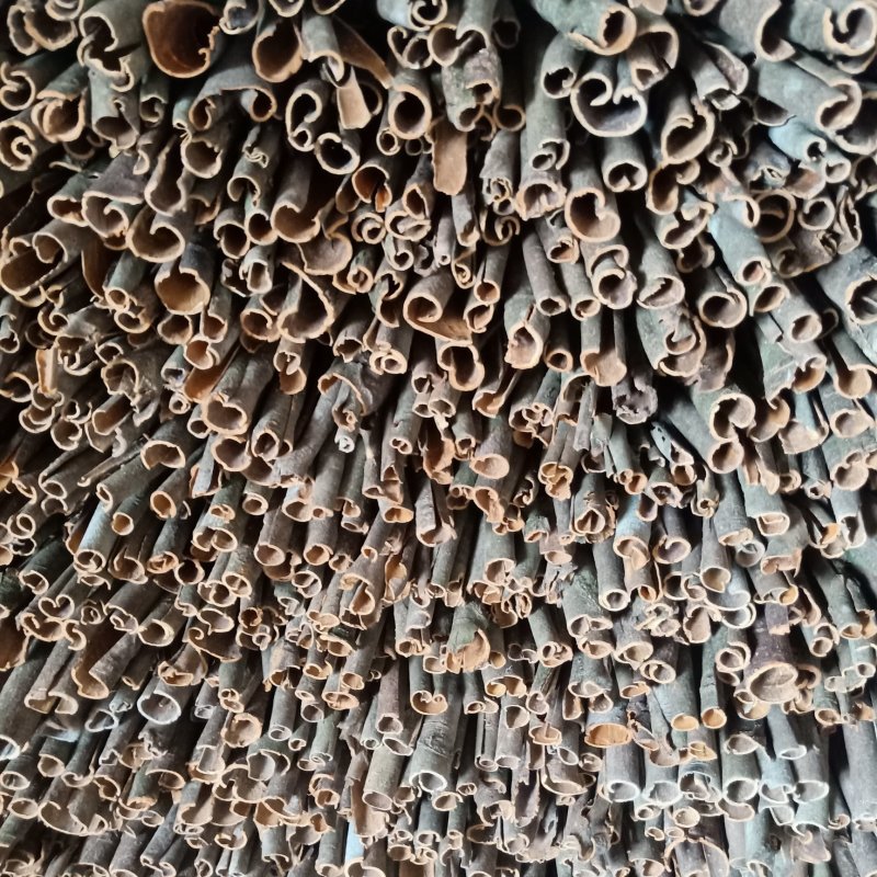 玉桂，桂皮，肉桂，桂通，