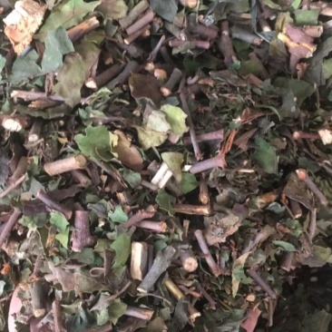 寄生草杂寄生干货切断