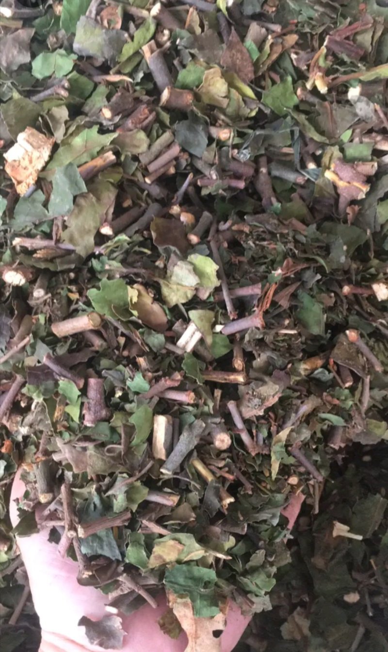 寄生草杂寄生干货切断