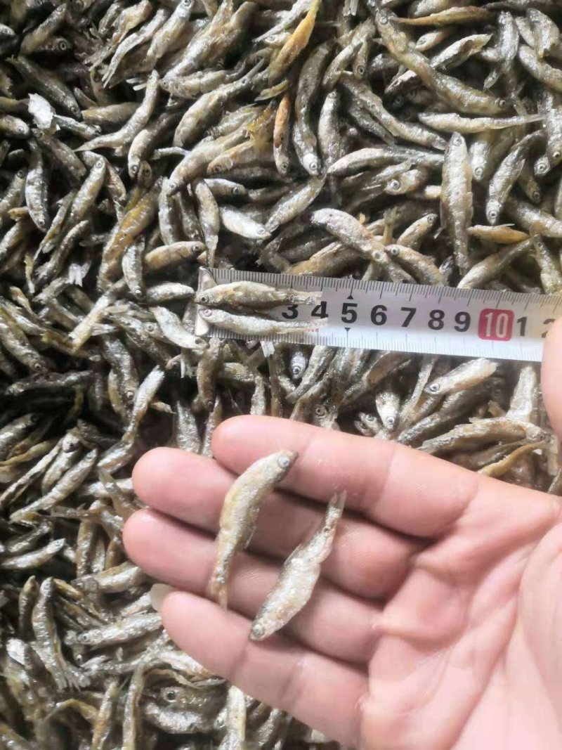 油炸鱼干白肖叼子翘白蓝刀油炸小鱼干小鱼仔鱼干无盐鱼干