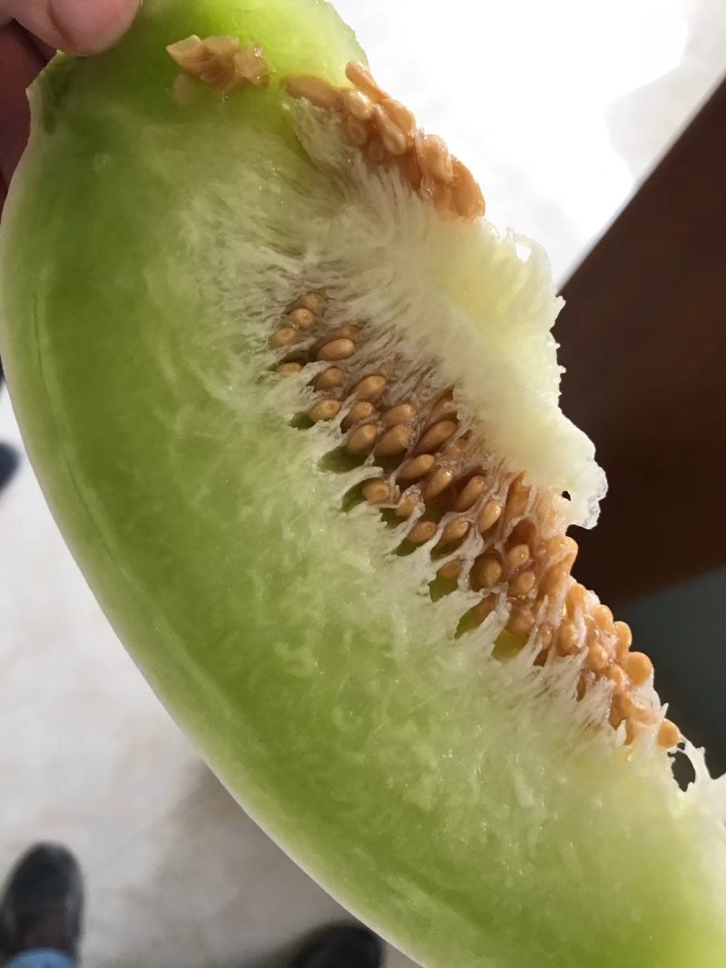 专业一件代发南汇玉姑甜瓜，1箱起送