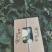 专业一件代发南汇玉姑甜瓜，1箱起送