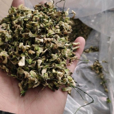 槐花干包子专用2020新货