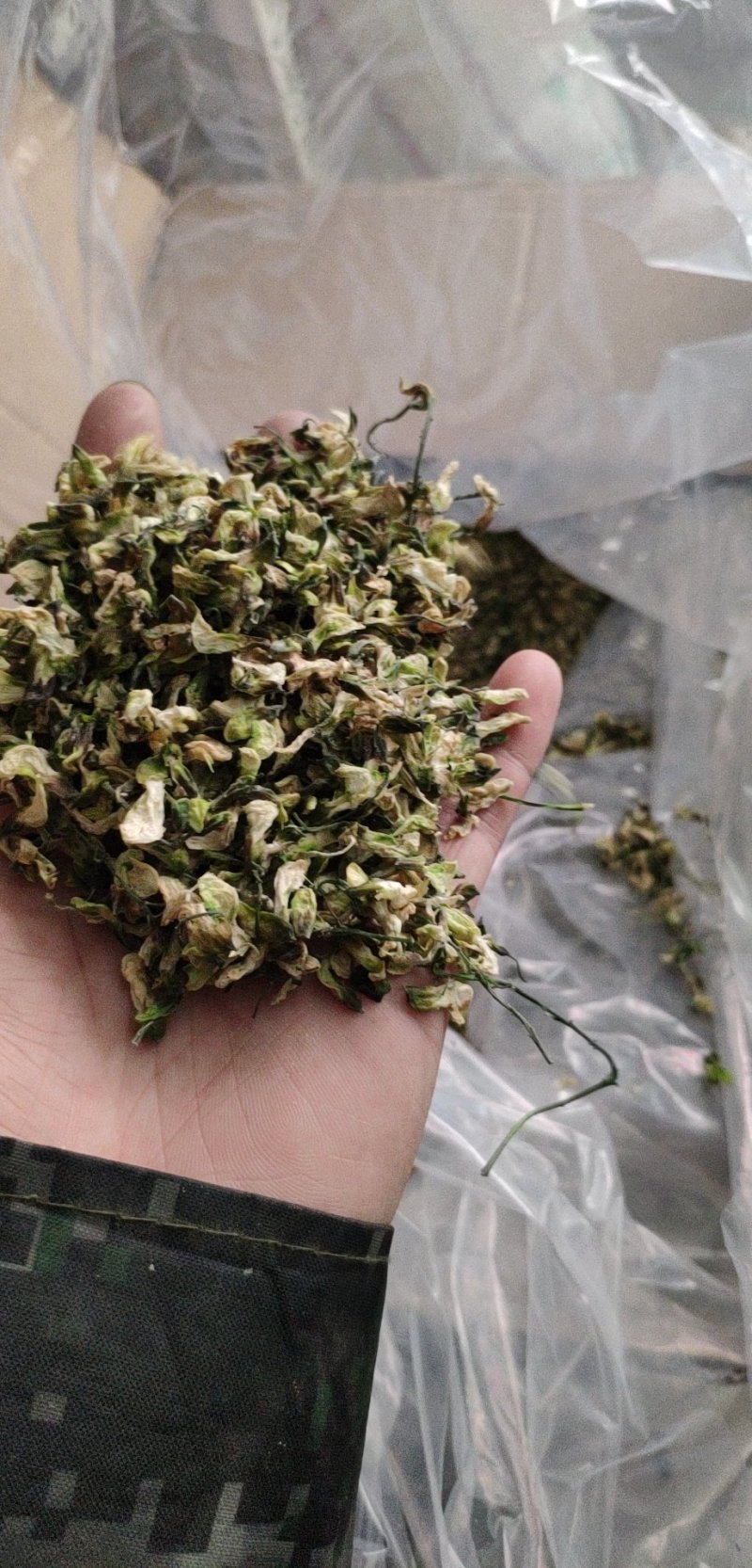 槐花干包子专用2020新货