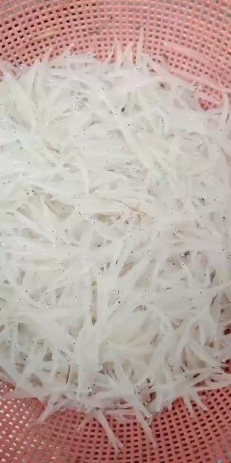 淡水银鱼有需要的老板先电话预定