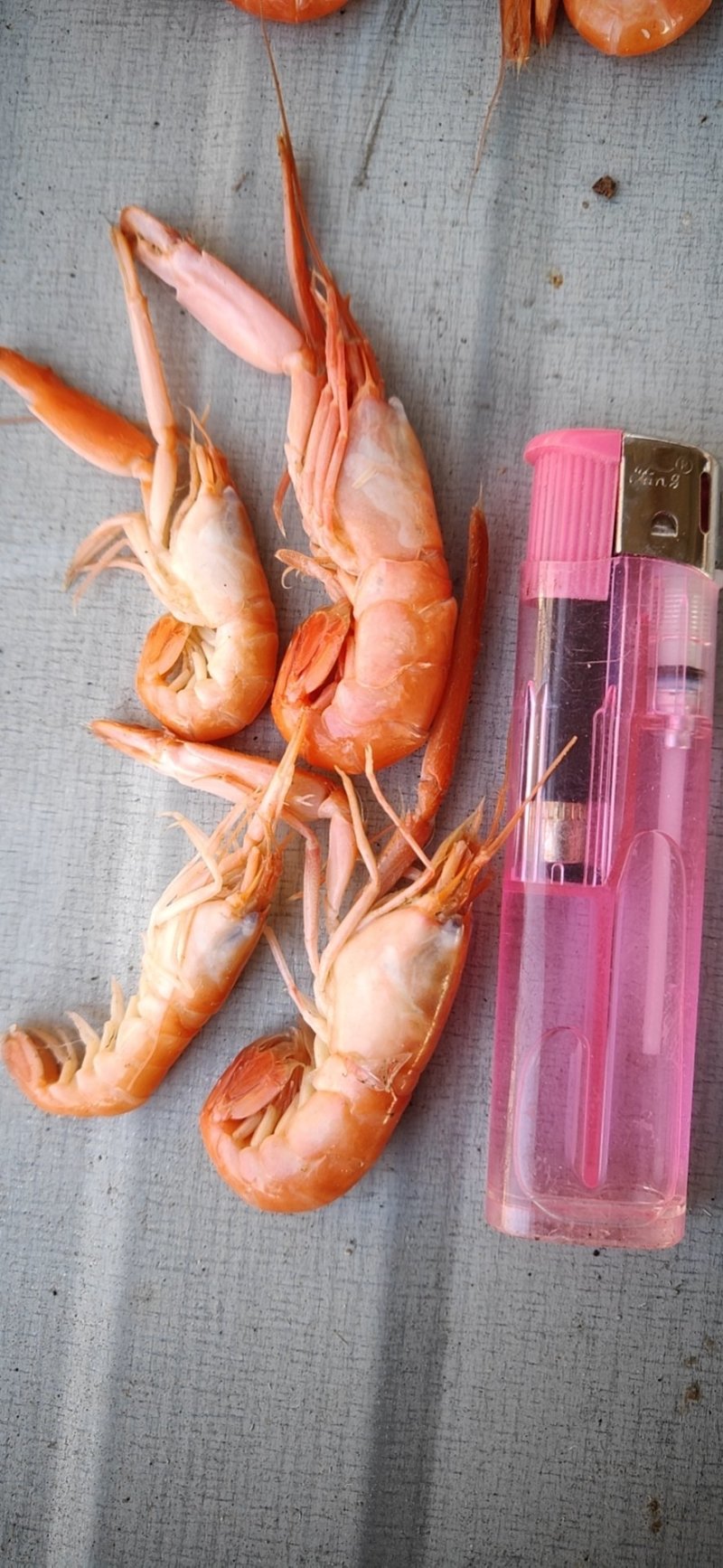 夹板虾抓虾加工户直销品质有保障欢迎选购