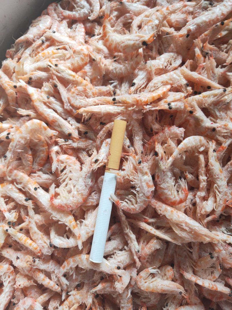 南极磷虾，磷虾，厂家直销，大量批发，一件代发