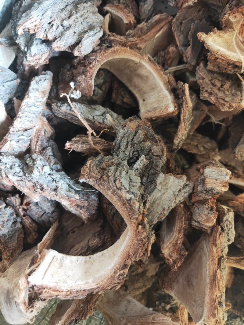 榆树皮榆皮榆白皮货好干度好产地山东