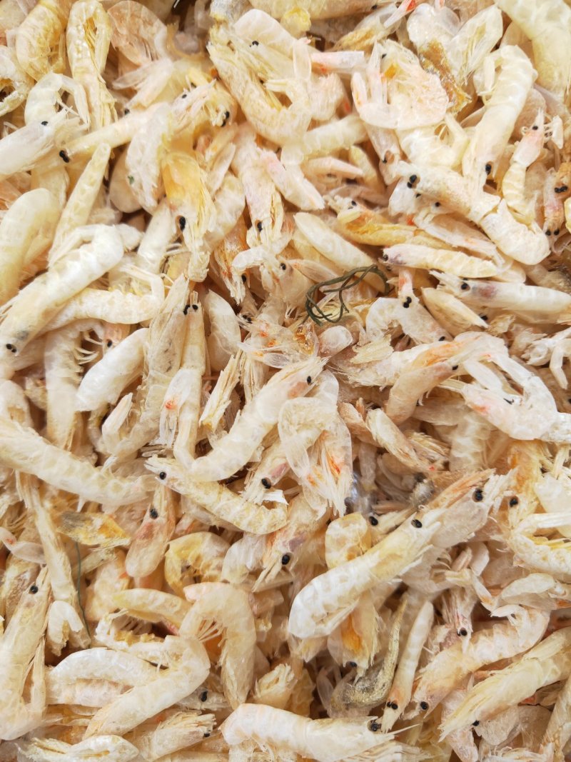 烘干淡干麦秆虾，蹦蹦虾，调料小虾，供油炸虾原料