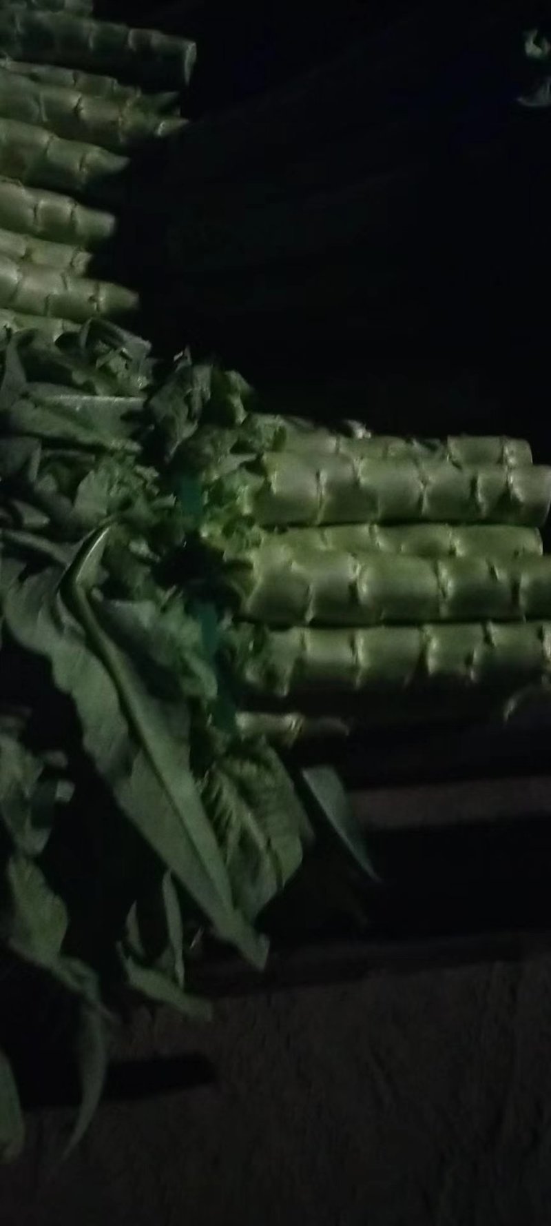 尖叶莴笋大量上市青皮莴笋