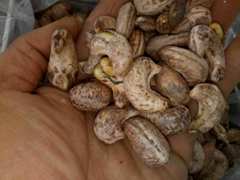 物流包邮极速发货带皮熟五香w180腰果