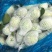 珍珠芭乐