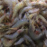 明天新鲜上货的海虾批发