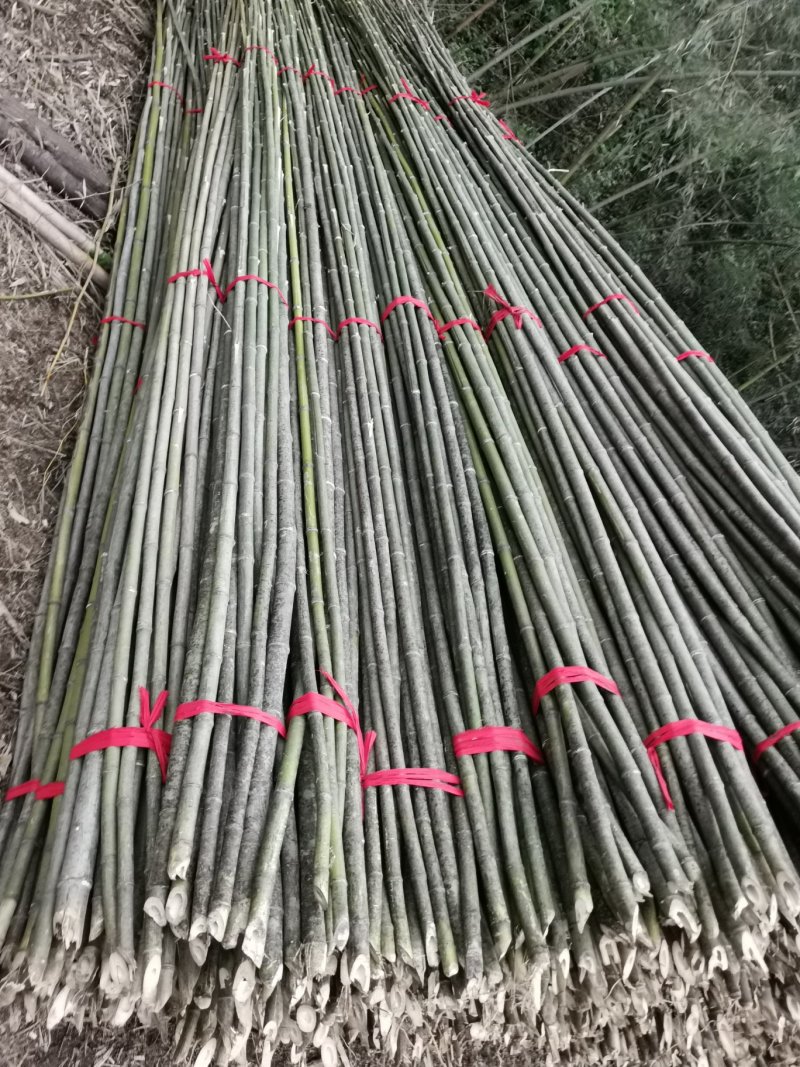 【推荐】菜架竹、西瓜架、冬瓜架、大棚竹、鸭棚竹