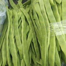 精品芸豆