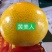 黄美人柑橘苗甘平明日见柑橘苗红美人柑橘苗