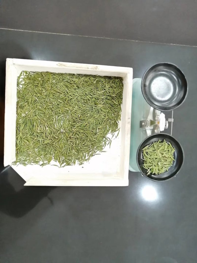 绿茶