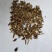 木香碎渣不包邮批发零售品种齐全诚信经营