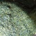 红茶纯生态无农药化肥海拔高，昼夜温差大