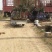 桂花