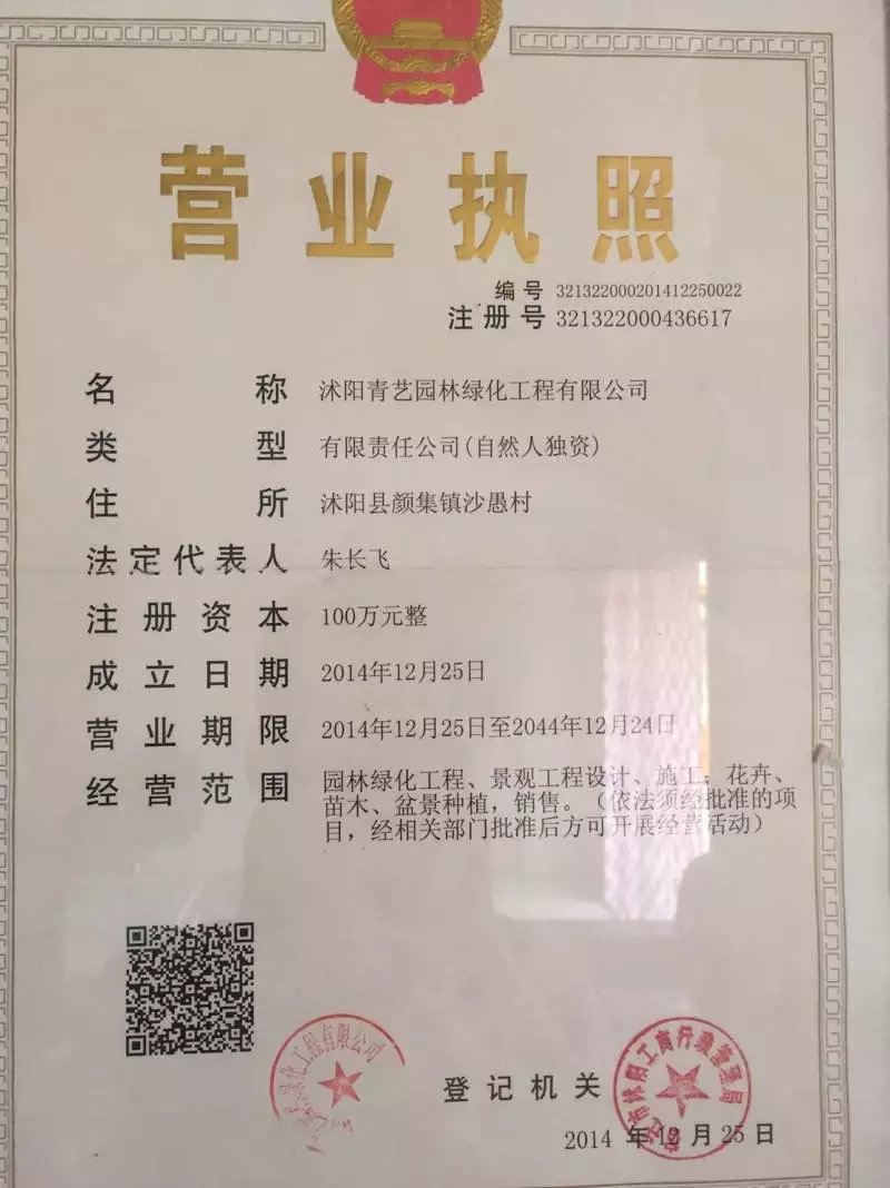 2到5米塔柏基地，基地大量塔柏，规格齐全