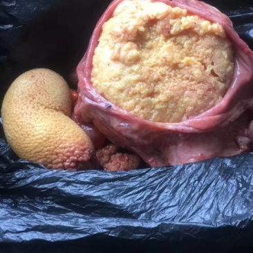 鸡宝