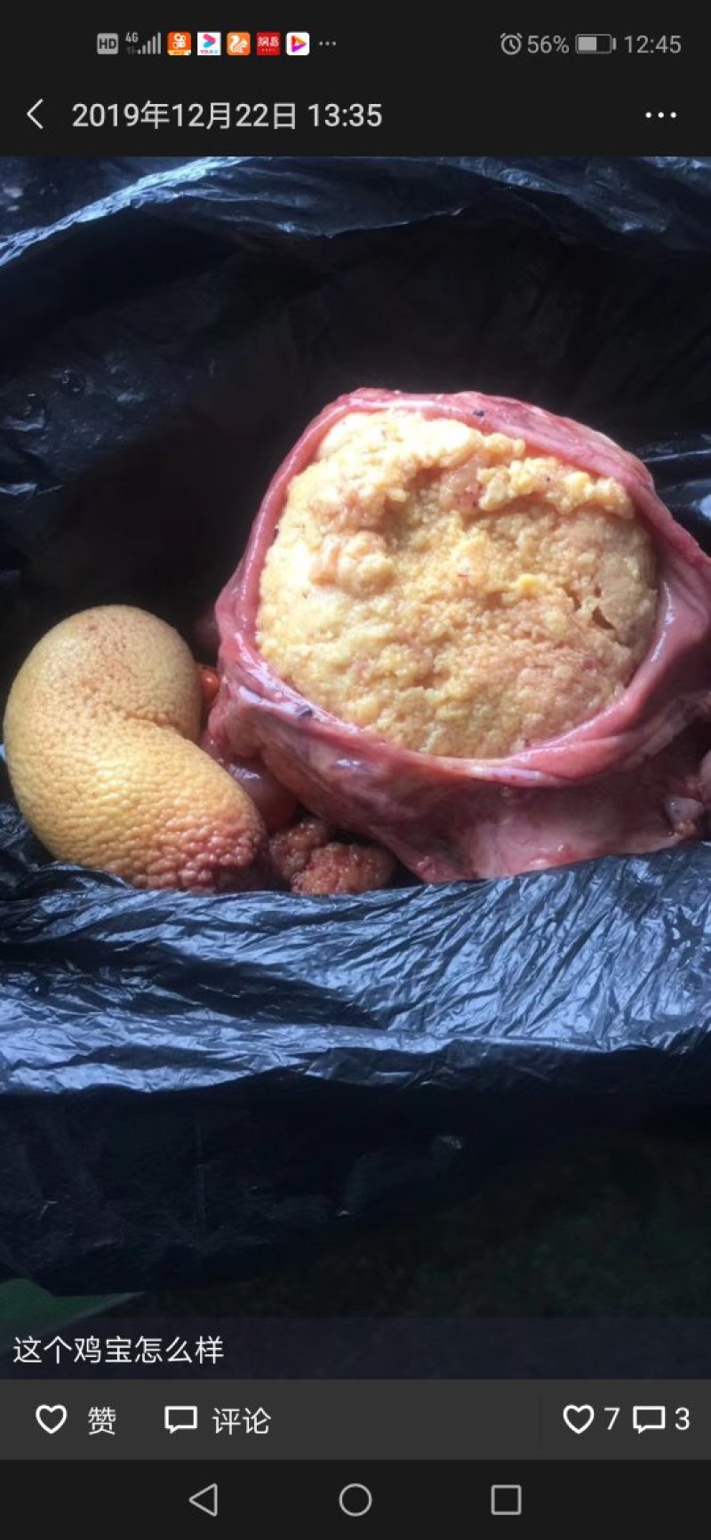 鸡宝
