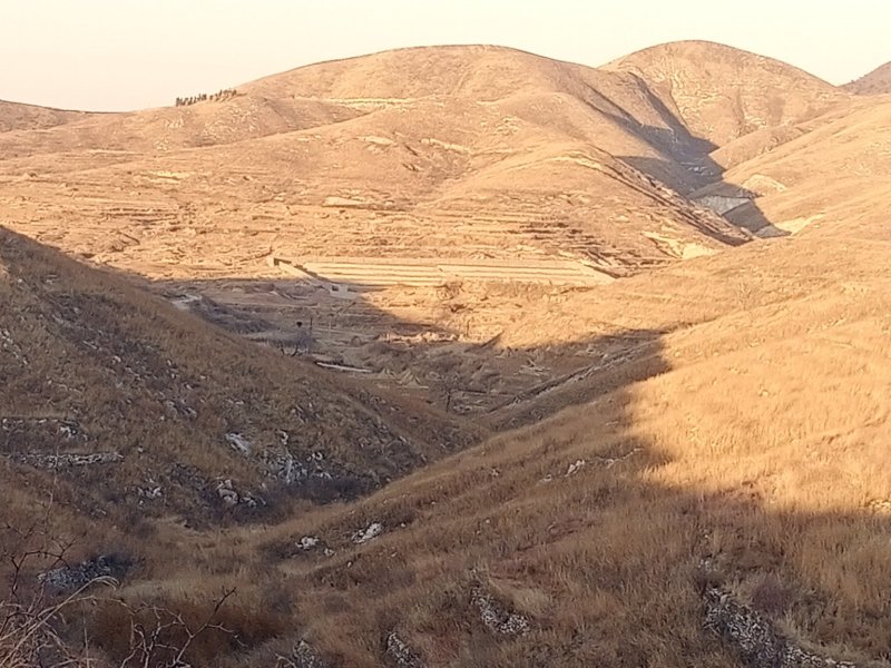 大量荒山资源出租转让