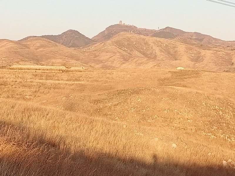 大量荒山资源出租转让