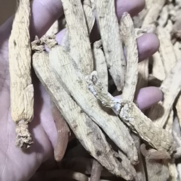 《明轩鹿业》高丽参无糖高丽参