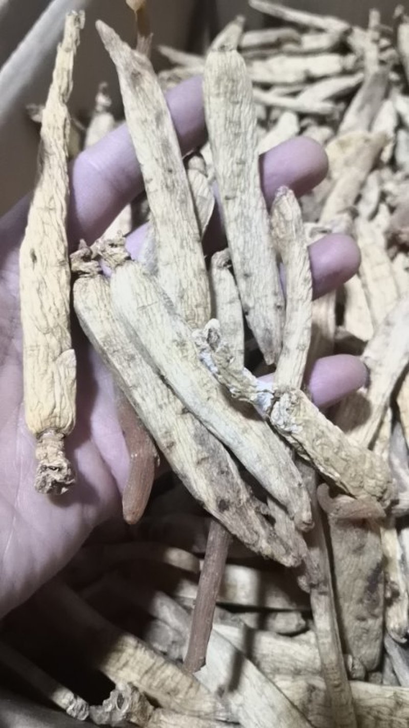 《明轩鹿业》高丽参无糖高丽参