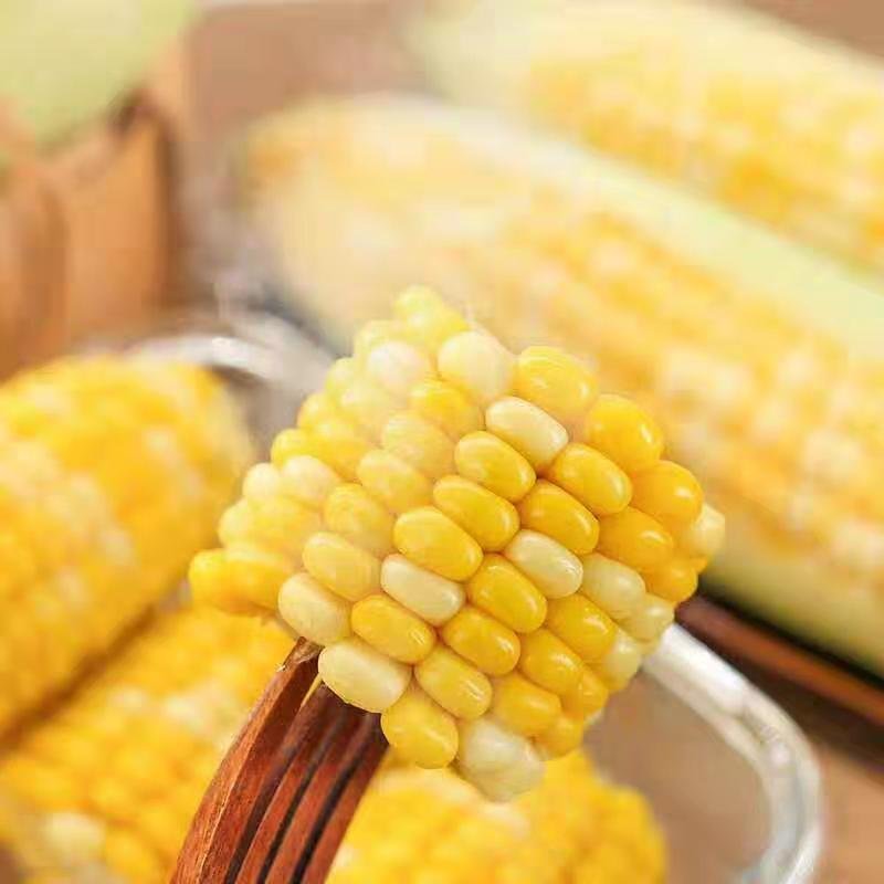 云南水果玉米带箱每件/10斤