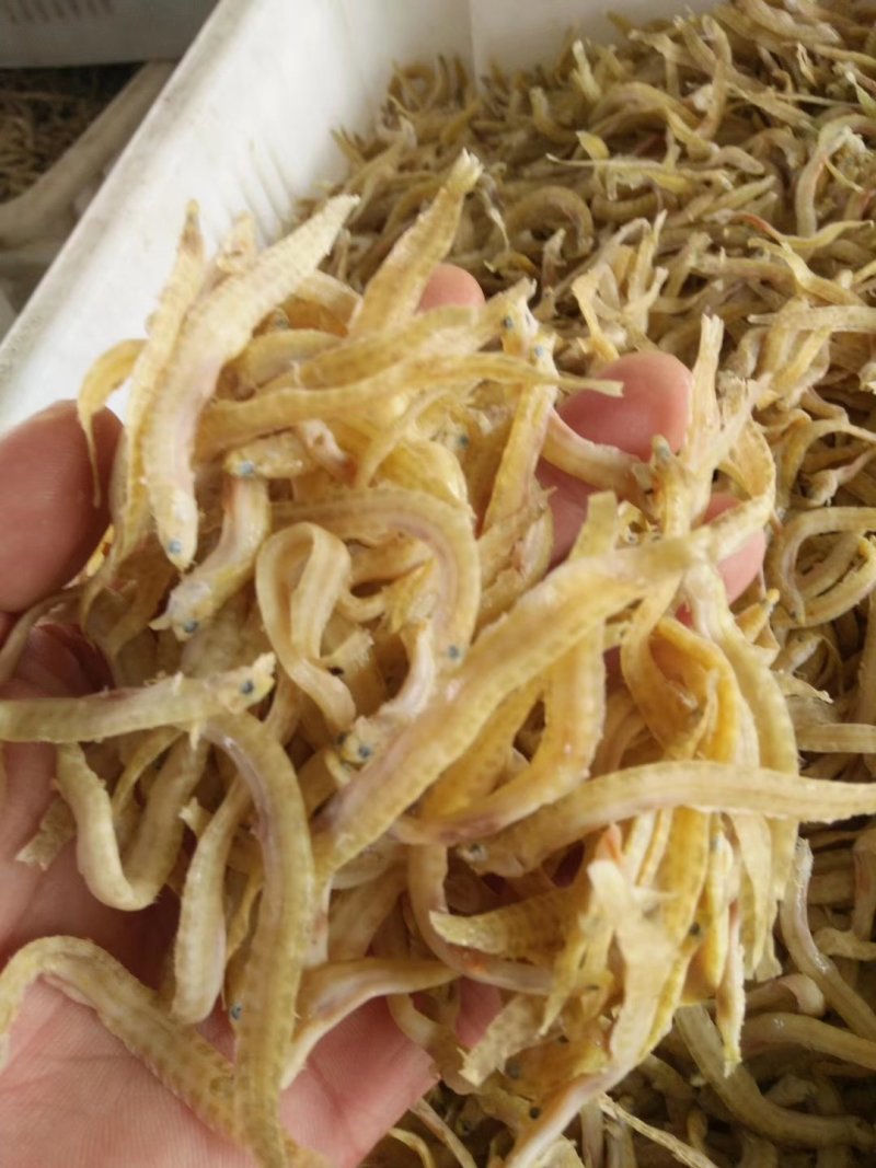 凤尾鱼，又名泥鳅鱼，深海鱼，没有碎刺，味道鲜美