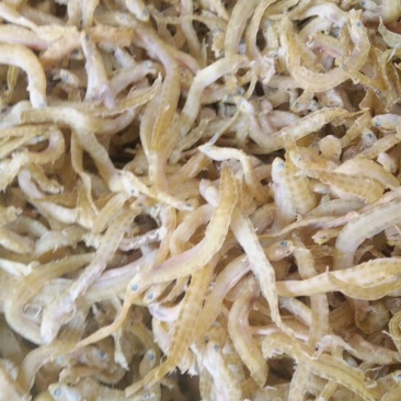 凤尾鱼，又名泥鳅鱼，深海鱼，没有碎刺，味道鲜美