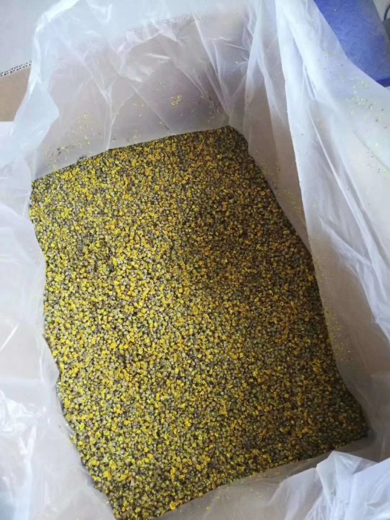 野菊花新货出来了湖北野菊花产地，自己加工，保证质量新鲜