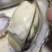 乳山牡蛎批发商，支持平台交易，一件代，发产地直供