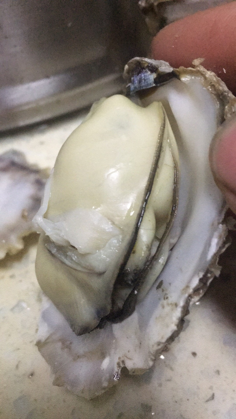 乳山牡蛎批发商，支持平台交易，一件代，发产地直供
