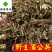 蒲公英干货野生公英新货颜色好供应大货
